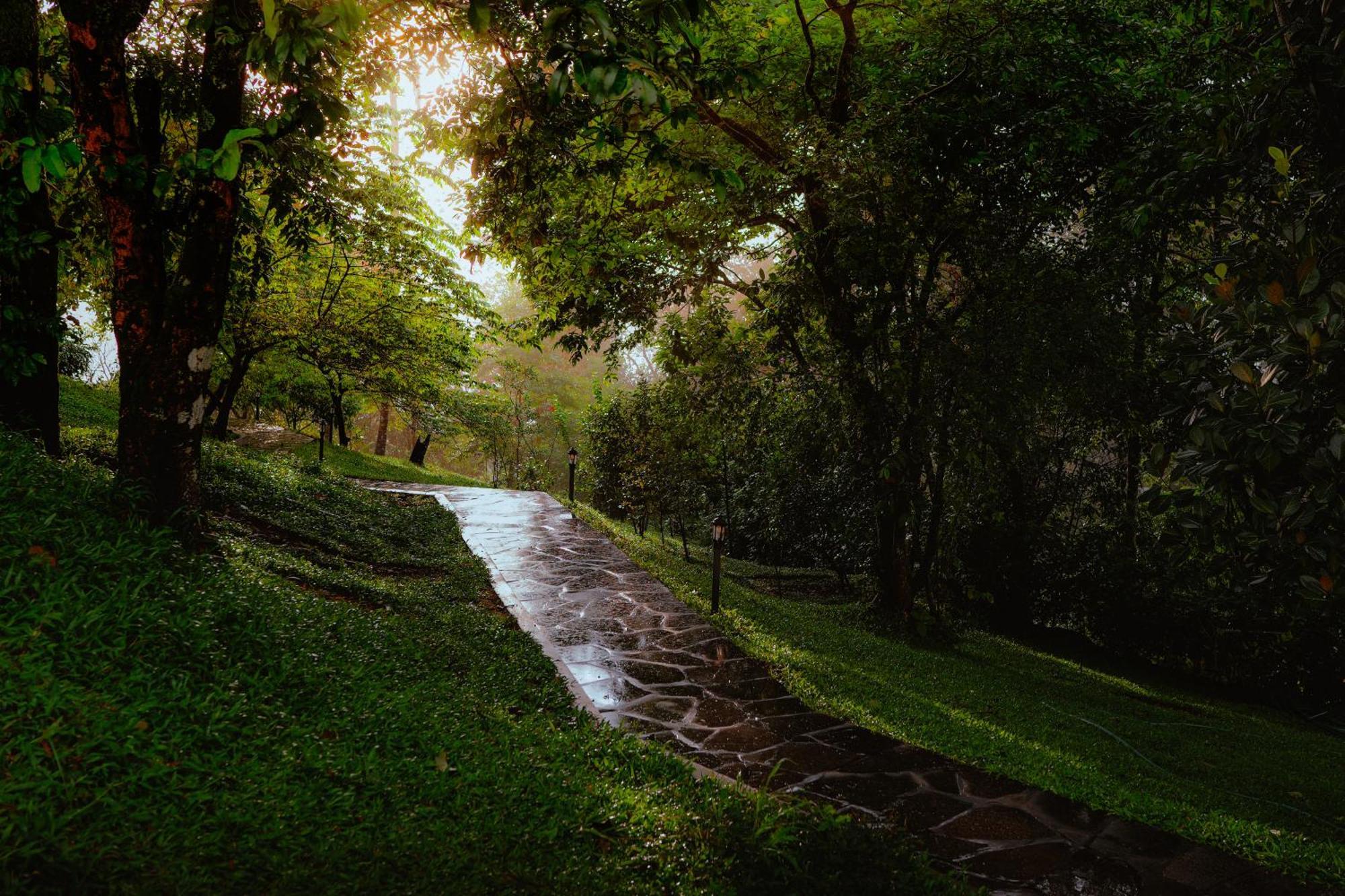 Haze&Kites Resort Munnar Exterior foto